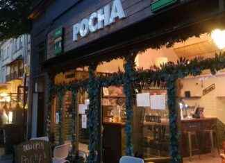 New SEO Title: Korean Restaurant Review: Octopus and Cabbage Skewers news-16082024-071848