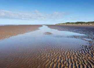 Discover the Charm of Somerset Beach: Britain’s Hidden Coastal Gem news-17082024-072636