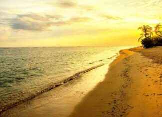 Visa Fee Scrapped for Travelers to Popular Destination: Boost for Tourism news-30082024-142456