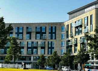 Tragic Incident: Woman Killed by Rugby Ball During Match Viewing news-13092024-000049