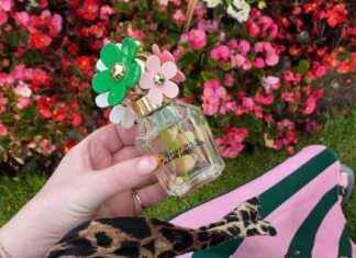 Perfect Day to Night Perfume: Why I Ditched YSL for a New Favorite news-13092024-223228