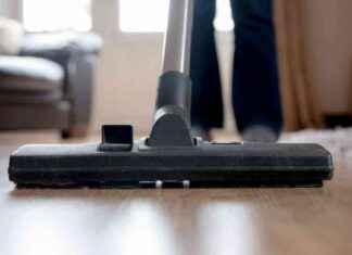 Keep Spiders Away by Removing This One Thing: Advice from Cleaning Experts news-16092024-125734