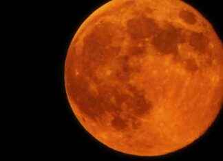 Rare Super Harvest Moon: Best Time to Witness this Spectacular Event news-18092024-025013
