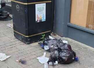 Salon Owner Dumping Waste Next to High Street Bin: Environmental Concerns news-16102024-135533