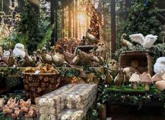 Magical Christmas Shop Returns to Garden Centre for the Holidays news-18102024-080249