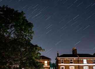 Best Time to Watch Orionid Meteor Shower: Halley’s Comet Shooting Stars Schedule news-19102024-021313