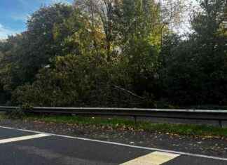 A4 Closure Updates: Managing Traffic Chaos news-20102024-201920