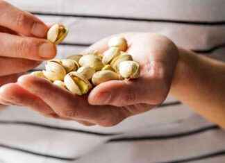 Protect Your Eyesight with Daily Snack – Easy Eye Health Tip news-31102024-070735