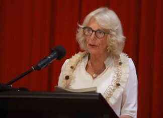 Queen’s Domestic Abuse Documentary Featuring Police Chief news-04112024-014716