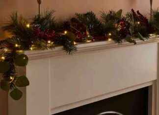 £25 Pre-Lit Garland with Pinecones: A Magical Christmas Decoration news-09112024-033045