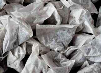 UK Tea Brand Faces Possible Discontinuation After 120 Years news-15112024-154206