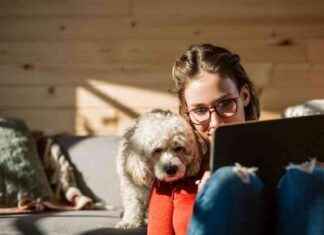 Winter Energy Bill Support Available for E.ON Next Customers news-19112024-155928