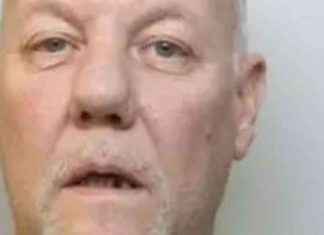 Survivor Overcomes Wheelchair After Brutal Stabbing news-29112024-175726