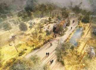 Championing Carnivores: Bristol Zoo’s Project for Lions and More championing-carnivores-bristol-zoos-project-for-lions-and-more