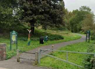 Woman sexually assaulted by moped attackers – Understanding the Incident and its Impact woman-sexually-assaulted-by-moped-attackers-understanding-the-ncident-and-its-mpact