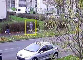 Driver flees scene after hitting boy with BMW driver-flees-scene-after-hitting-boy-with-bmw