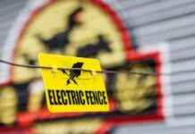 Family Adventure Park in Bristol Experiences Power Outage Impacting Hundreds family-adventure-park-in-bristol-experiences-power-outage-mpacting-hundreds