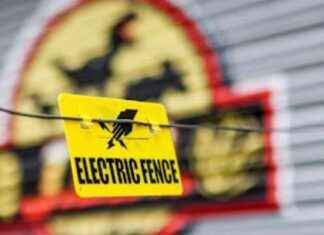 Family Adventure Park in Bristol Experiences Power Outage Impacting Hundreds family-adventure-park-in-bristol-experiences-power-outage-mpacting-hundreds