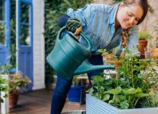 Get £5 Free Garden Essentials with New Cashback Offer – How It Works get-5-free-garden-essentials-with-new-cashback-offer-how-t-works