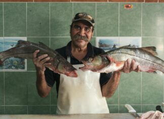 Greene’s Fresh Seafood Bristol VA: Why Locals Can’t Resist!