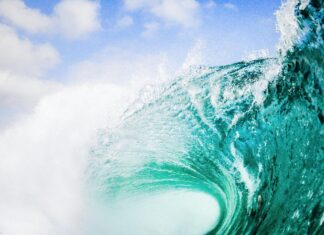 Bristol Farms Newport Beach: Discover Why Locals Love It Here