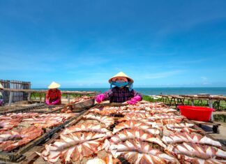 Bristol Seafood Grill Leawood Kansas: Why Locals Can’t Resist