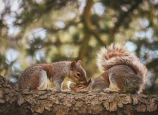 First Bristol Federal Credit Union Bristol CT: Why Choose Them?