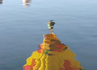 Bristol Brewery Colorado Springs: Discover Unique Flavours & Secrets