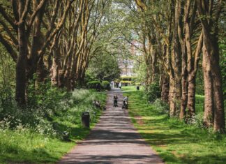 Bristol Commons: Discover Why Everyone Is Talking About This Spot