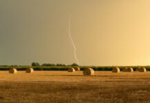 Country Thunder Bristol: Discover The Ultimate Country Music Experience