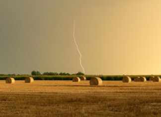 Country Thunder Bristol: Discover The Ultimate Country Music Experience