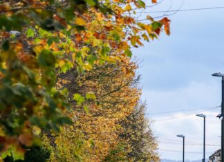 Bristol Toyota Bristol TN: Discover Unmatched Deals and Quality Cars