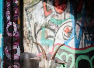 Bristol RI Zip Code: Discover What Makes It Truly Unique