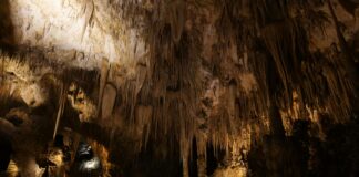 Bristol Caverns TN: Discover The Mysterious Underground Wonder Today
