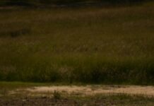 Hotels Near Bristol Motor Speedway: Discover Top Stays for Ultimate Race Day Experience