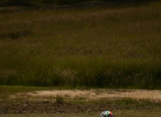 Hotels Near Bristol Motor Speedway: Discover Top Stays for Ultimate Race Day Experience