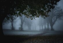 Blasius Of Bristol: Uncover The Mysterious Legacy And Secrets