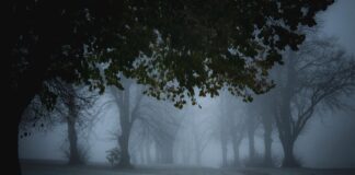 Blasius Of Bristol: Uncover The Mysterious Legacy And Secrets