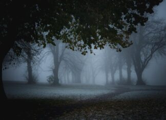 Blasius Of Bristol: Uncover The Mysterious Legacy And Secrets