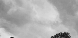 Blithewold Mansion Bristol RI: Discover Stunning Gardens & History