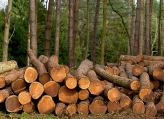 Jobs In Bristol Ct: Discover Exciting Opportunities Near You Today