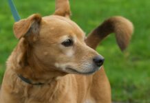 Carmax Bristol TN: Discover Why It’s The Best Choice For You