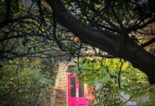 Bristol Restauracja: Discover Hidden Culinary Gems That Amaze