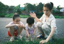 Wea Bristol: Discover How It Transforms Learning Opportunities Today