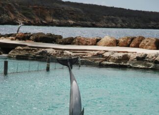 Just Jump Bristol: Discover The Ultimate Indoor Trampoline Experience