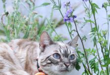 Bristol Manor Secrets Revealed: Why It’s The Ultimate Choice