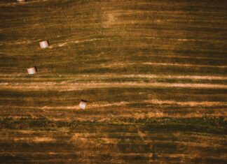 Rural King Bristol VA: Discover Unbeatable Deals and Top Tips