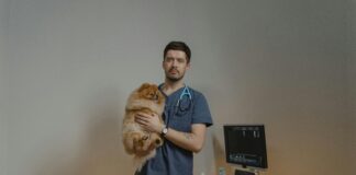 Bristol County Animal Clinic: Discover Expert Care for Pets