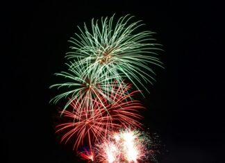 New Hampshire Bristol Secrets: Discover What Makes It Unique