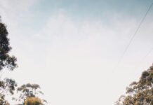 Bristol Eastern High School: Discover Top Tips For Student Success